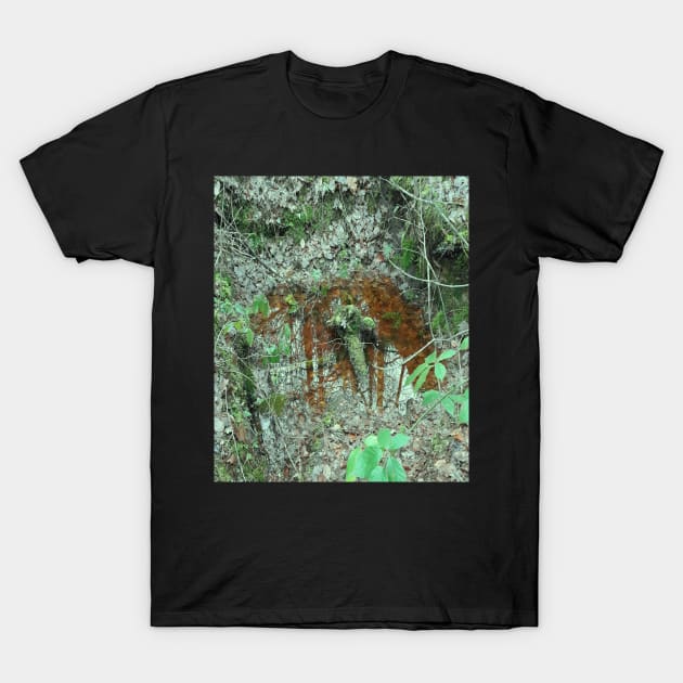 Waterhole hole in the forest T-Shirt by robelf